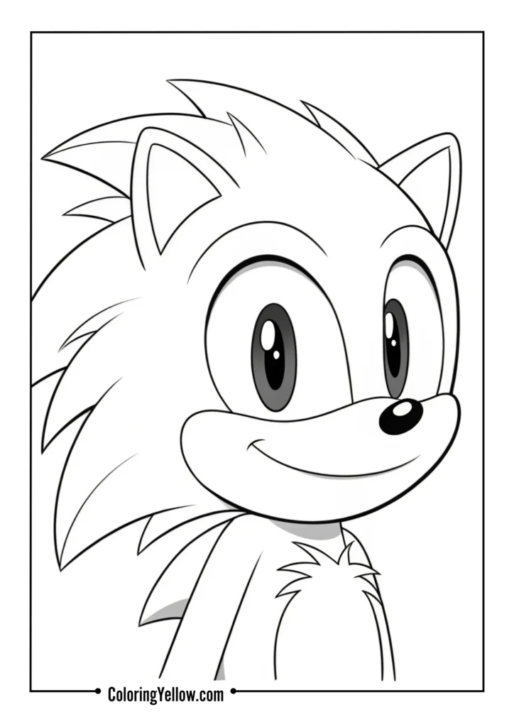 Sonic Face Close-Up
