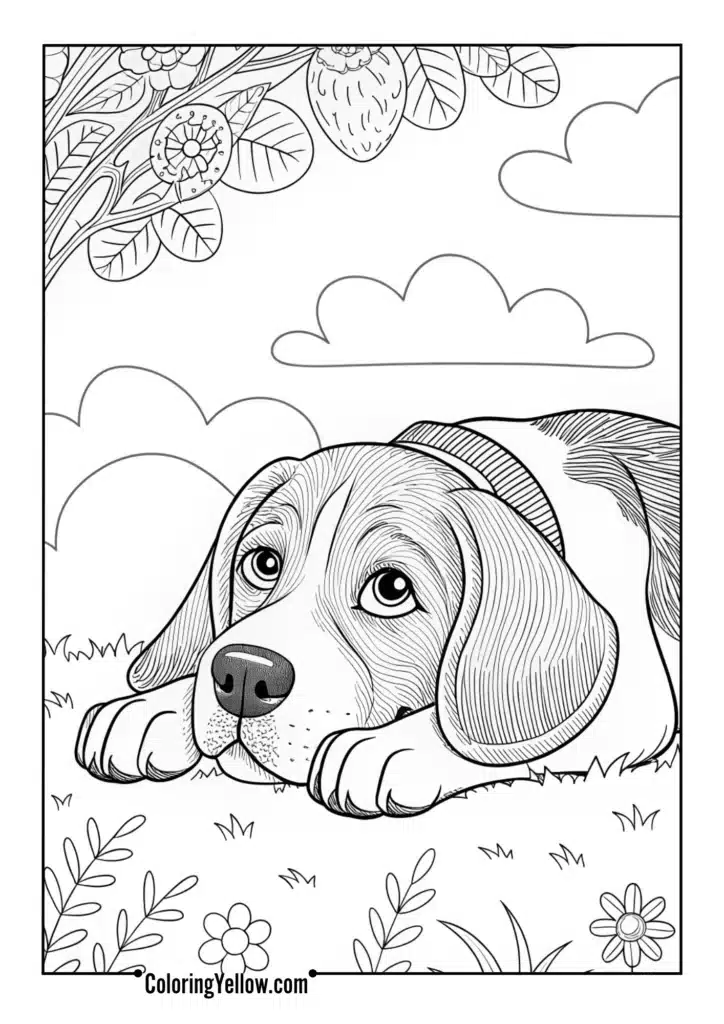 Beagle Resting Peacefully