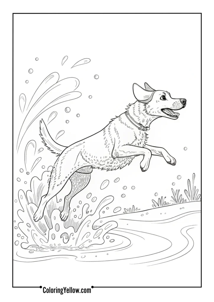 Dog Leaping Through Splash