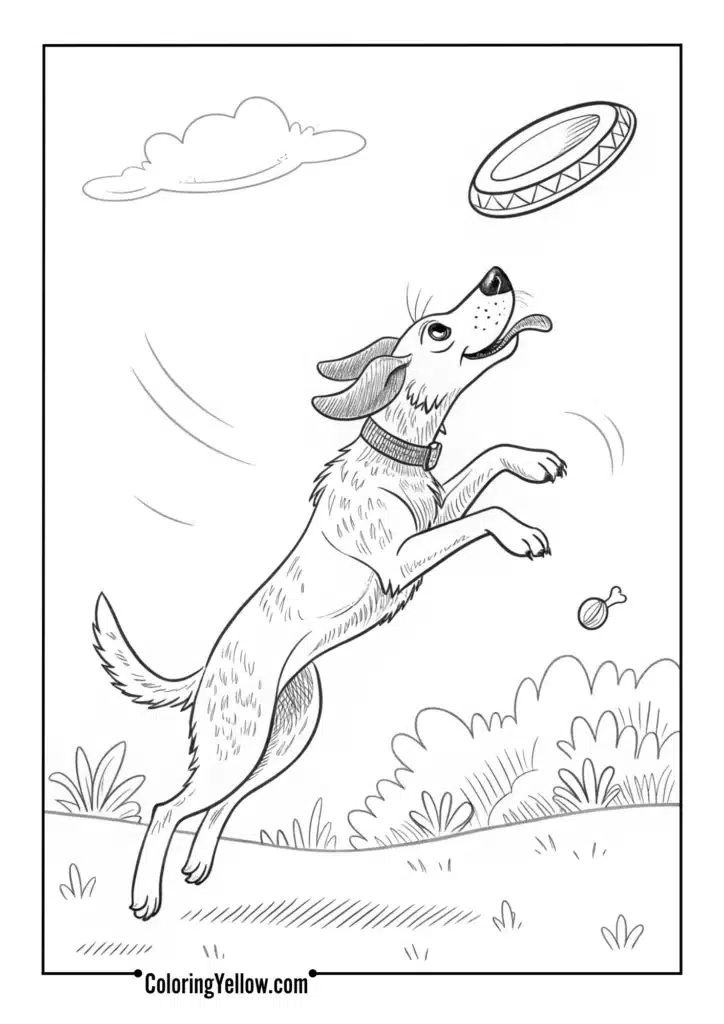 Dog Leaping to Catch Frisbee